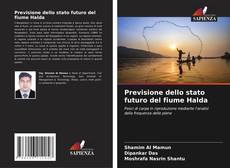 Bookcover of Previsione dello stato futuro del fiume Halda