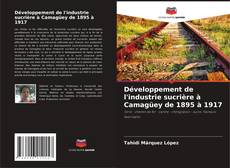 Bookcover of Développement de l'industrie sucrière à Camagüey de 1895 à 1917