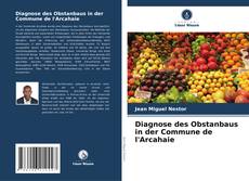 Portada del libro de Diagnose des Obstanbaus in der Commune de l'Arcahaie