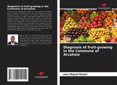 Buchcover von Diagnosis of fruit-growing in the Commune of Arcahaie