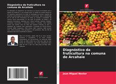 Diagnóstico da fruticultura na comuna de Arcahaie kitap kapağı