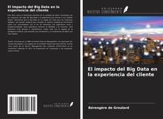 El impacto del Big Data en la experiencia del cliente的封面