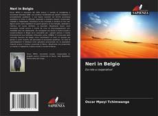 Neri in Belgio kitap kapağı