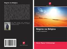 Negros na Bélgica kitap kapağı