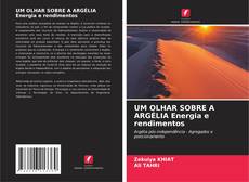 UM OLHAR SOBRE A ARGÉLIA Energia e rendimentos kitap kapağı