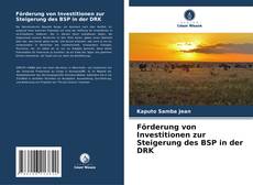 Portada del libro de Förderung von Investitionen zur Steigerung des BSP in der DRK