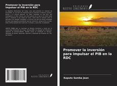 Bookcover of Promover la inversión para impulsar el PIB en la RDC