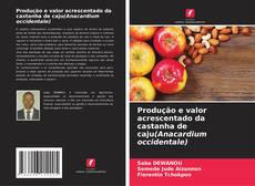 Обложка Produção e valor acrescentado da castanha de caju(Anacardium occidentale)