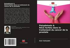 Couverture de Polyphénols & Rêve farfelu dans le traitement du cancer de la prostate