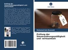 Prüfung der Steuerordnungsmäßigkeit und -wirksamkeit的封面