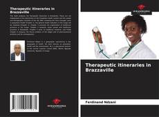 Buchcover von Therapeutic itineraries in Brazzaville
