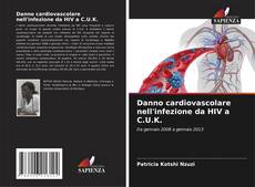 Buchcover von Danno cardiovascolare nell'infezione da HIV a C.U.K.