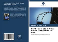 Portada del libro de Pavillon 12: Die in Minas Gerais inhaftierten Ex-PMs