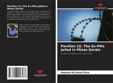 Pavilion 12: The Ex-PMs Jailed in Minas Gerais kitap kapağı