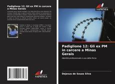 Bookcover of Padiglione 12: Gli ex PM in carcere a Minas Gerais