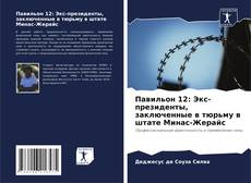 Portada del libro de Павильон 12: Экс-президенты, заключенные в тюрьму в штате Минас-Жерайс