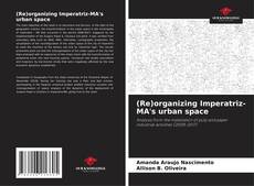 Portada del libro de (Re)organizing Imperatriz-MA's urban space