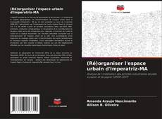 (Ré)organiser l'espace urbain d'Imperatriz-MA kitap kapağı