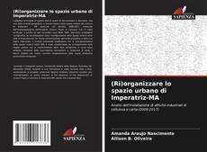 Bookcover of (Ri)organizzare lo spazio urbano di Imperatriz-MA