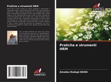 Pratiche e strumenti HRM kitap kapağı
