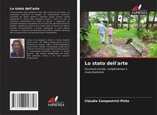 Bookcover of Lo stato dell'arte