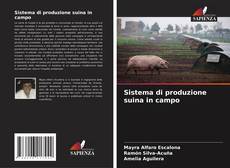 Bookcover of Sistema di produzione suina in campo