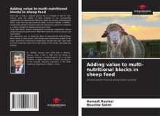 Adding value to multi-nutritional blocks in sheep feed kitap kapağı