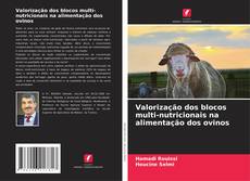 Capa do livro de Valorização dos blocos multi-nutricionais na alimentação dos ovinos 