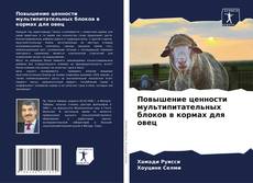 Bookcover of Повышение ценности мультипитательных блоков в кормах для овец
