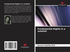 Fundamental Rights in a nutshell kitap kapağı