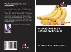 Bookcover of Distribuzione di un sistema multihoming