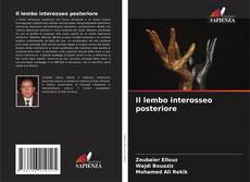 Bookcover of Il lembo interosseo posteriore