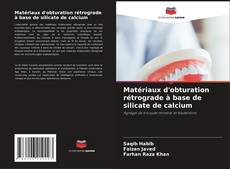 Capa do livro de Matériaux d'obturation rétrograde à base de silicate de calcium 