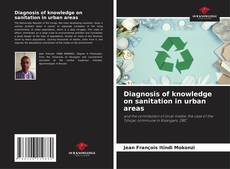 Buchcover von Diagnosis of knowledge on sanitation in urban areas