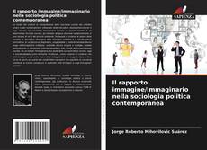Copertina di Il rapporto immagine/immaginario nella sociologia politica contemporanea