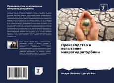 Bookcover of Производство и испытание микрогидротурбины