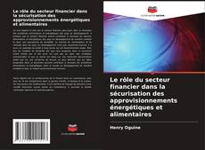 Bookcover of Le rôle du secteur financier dans la sécurisation des approvisionnements énergétiques et alimentaires