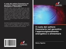 Обложка Il ruolo del settore finanziario nel garantire l'approvvigionamento energetico e alimentare
