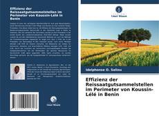 Portada del libro de Effizienz der Reissaatgutsammelstellen im Perimeter von Koussin-Lélé in Benin