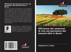 Обложка Efficienza dei semenzai di riso nel perimetro del koussin-lélé in Benin