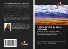 Bookcover of Il clima futuro su scala regionale
