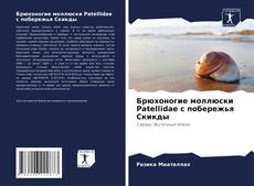 Copertina di Брюхоногие моллюски Patellidae с побережья Скикды