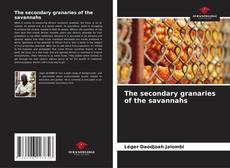 The secondary granaries of the savannahs kitap kapağı