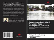 Buchcover von Remote sensing and GIS for urban flood management in Douala