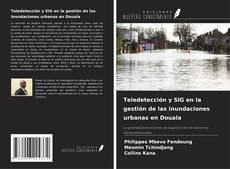 Buchcover von Teledetección y SIG en la gestión de las inundaciones urbanas en Douala