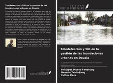 Borítókép a  Teledetección y SIG en la gestión de las inundaciones urbanas en Douala - hoz