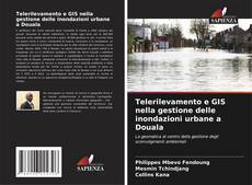 Capa do livro de Telerilevamento e GIS nella gestione delle inondazioni urbane a Douala 