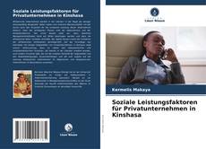 Portada del libro de Soziale Leistungsfaktoren für Privatunternehmen in Kinshasa