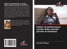 Fattori di performance sociale delle aziende private di Kinshasa的封面