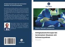 Portada del libro de Antiglaukomchirurgie bei terminalem Glaukom mit Schmerzsyndrom